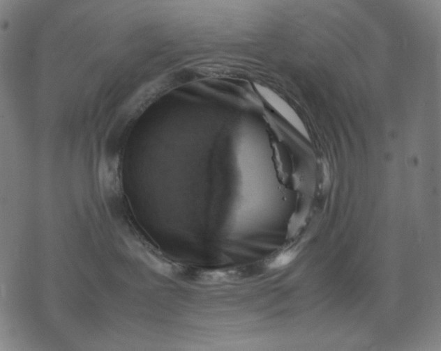 X0000074210239200609081539