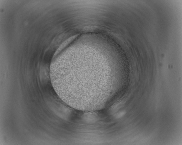 X0000074210240200609081539