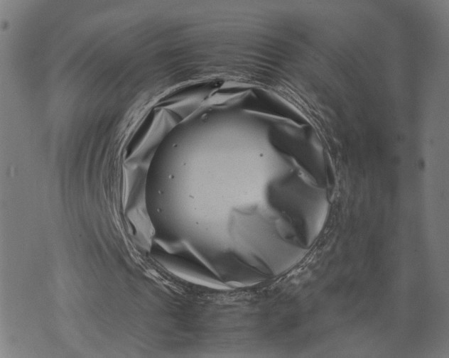 X0000074210241200609081538