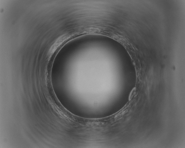 X0000074210242200609081538