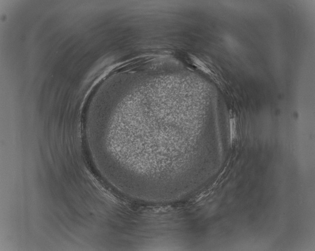 X0000074210243200609081538