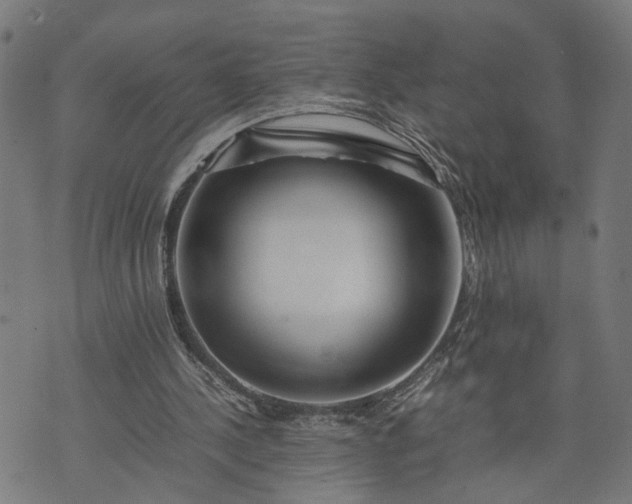 X0000074210244200609081538