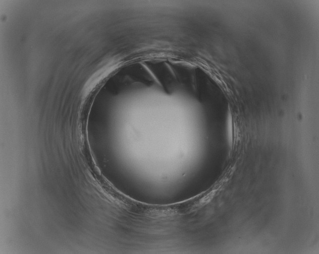 X0000074210245200609081538