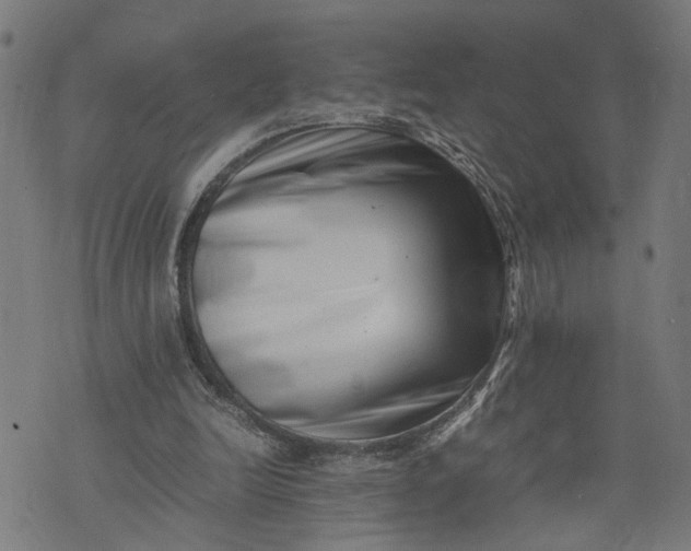 X0000074210246200609081538