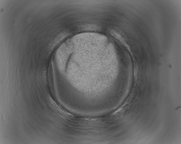 X0000074210249200609081538