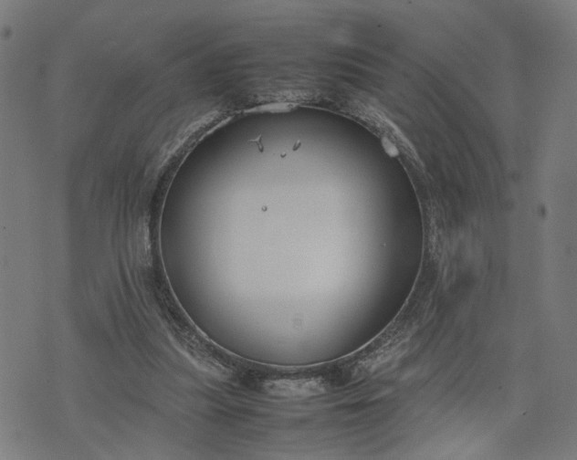 X0000074210251200609081538