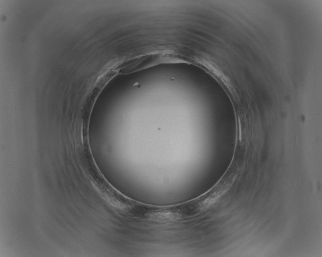 X0000074210253200609081538