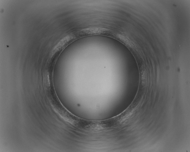 X0000074210254200609081538