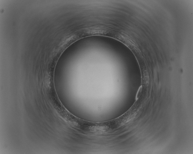 X0000074210255200609081538