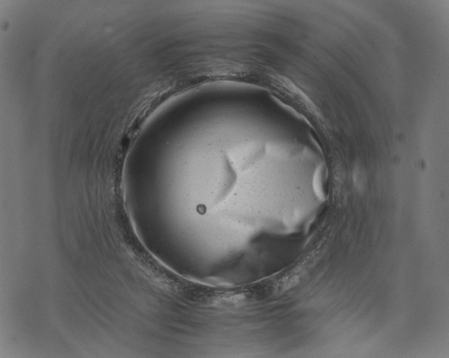 X0000074210257200609081538