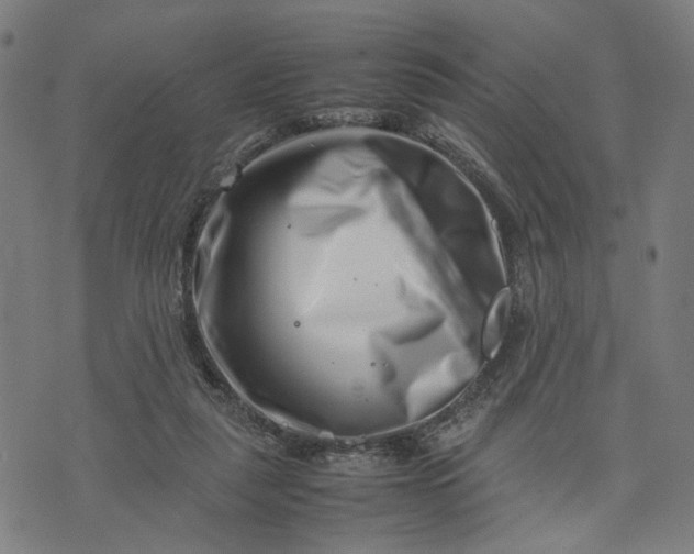 X0000074210259200609081538