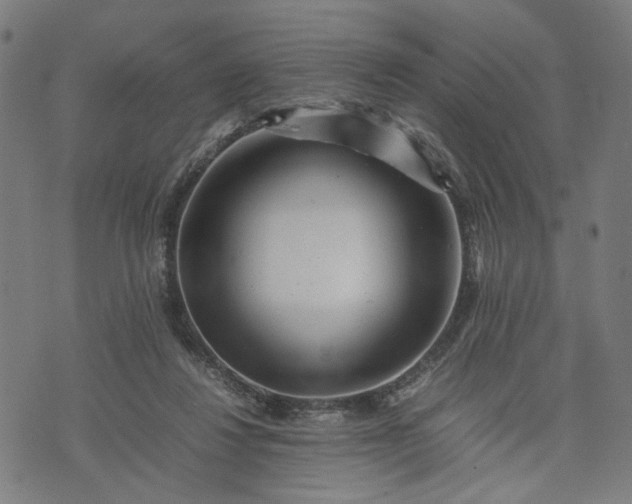 X0000074210260200609081538