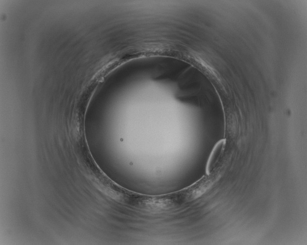 X0000074210261200609081538