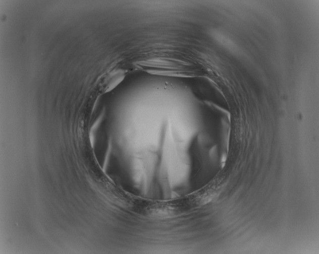 X0000074210263200609081538