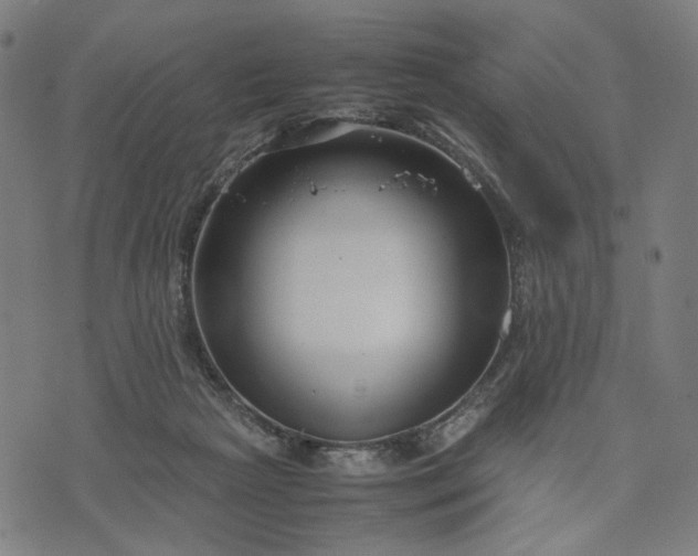 X0000074210265200609081538