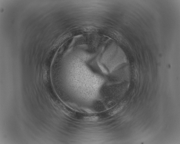 X0000074210266200609081538