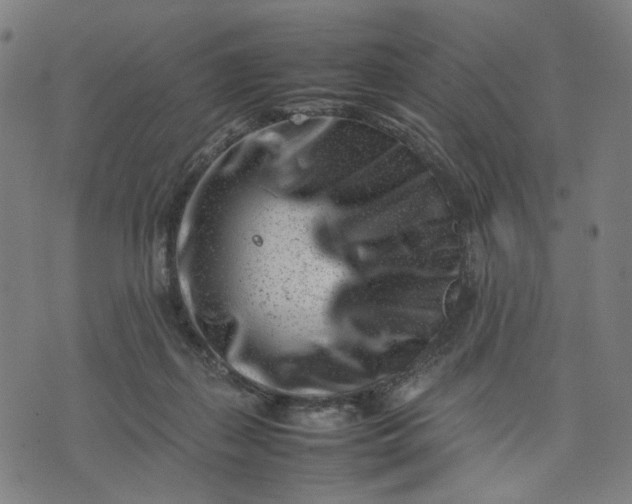 X0000074210267200609081538