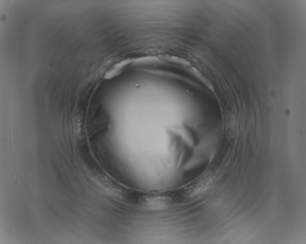 X0000074210268200609081538