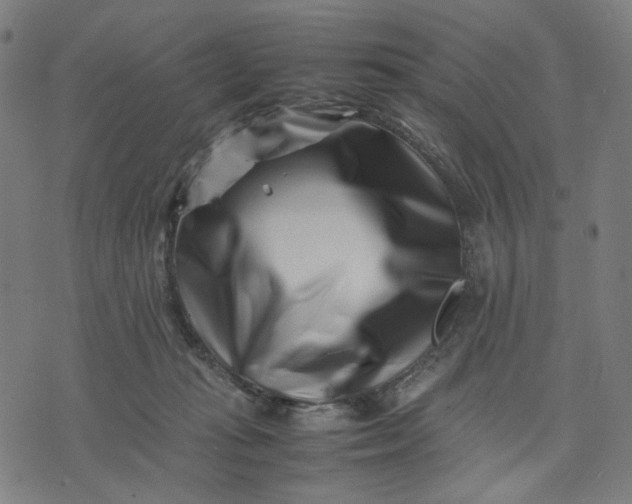 X0000074210269200609081538