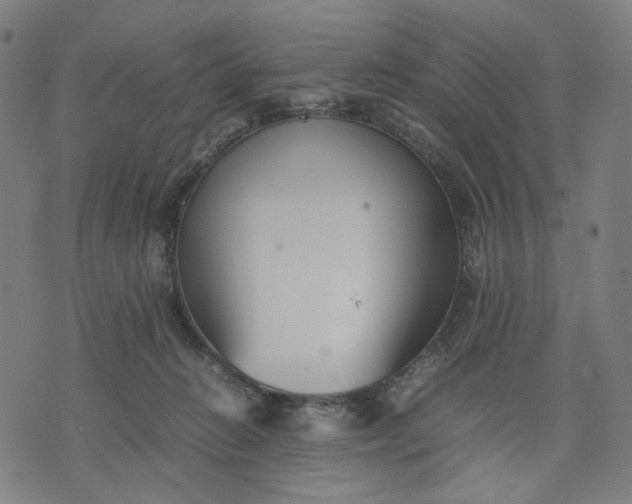 X0000074210270200609081538