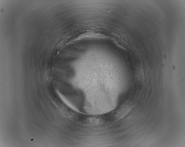 X0000074210272200609081538