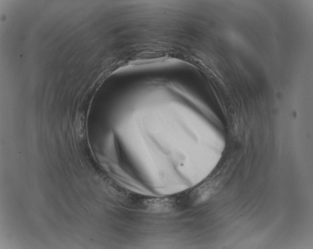 X0000074210273200609081538