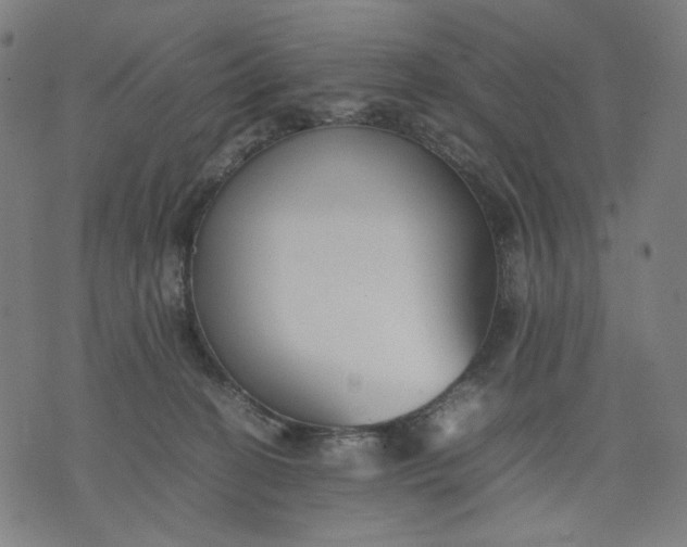 X0000074210274200609081538