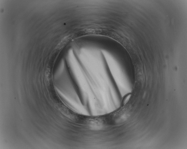 X0000074210275200609081538