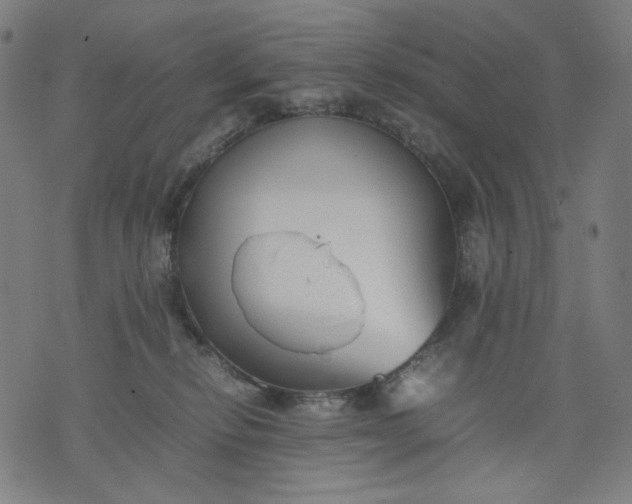 X0000074210278200609081538