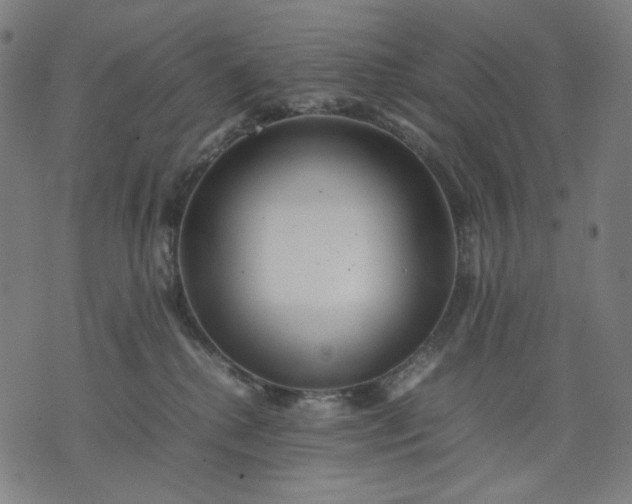 X0000074210280200609081538