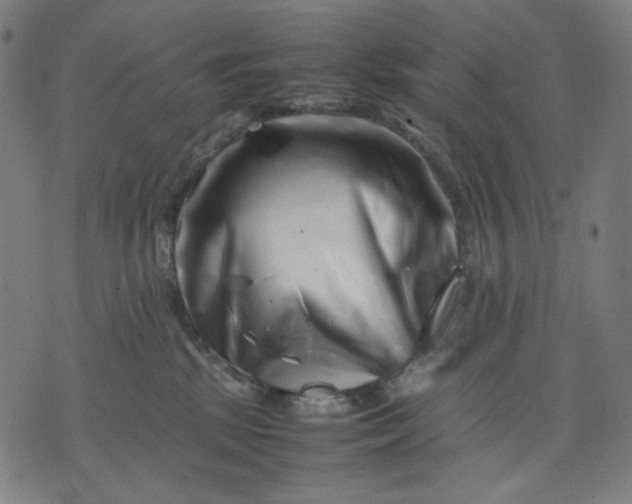 X0000074210281200609081538