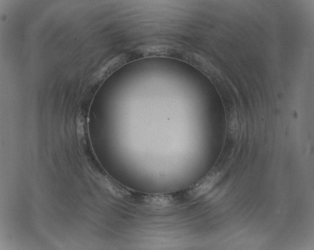 X0000074210282200609081538