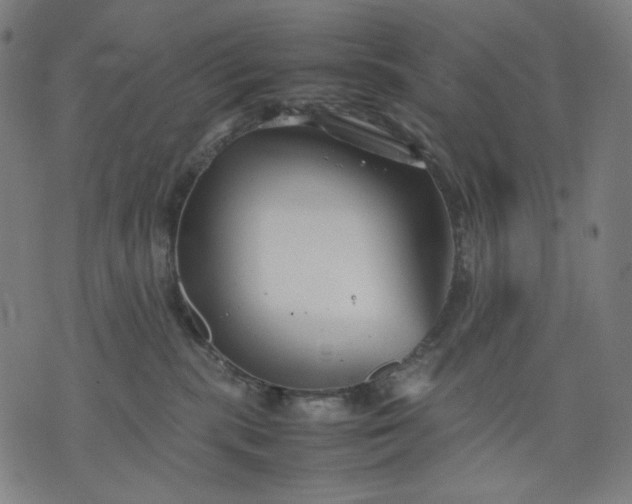 X0000074210283200609081538