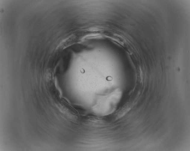 X0000074210284200609081538