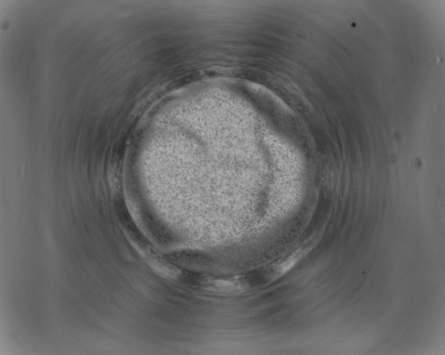 X0000074210285200609081539