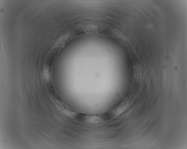 X0000074210287200609081539