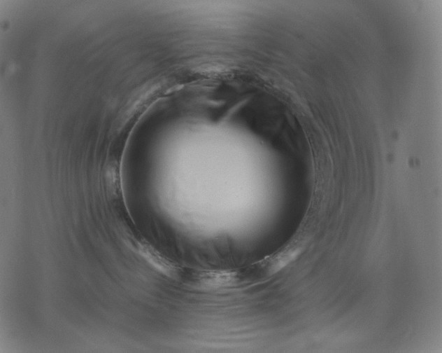 X0000074210288200609081539