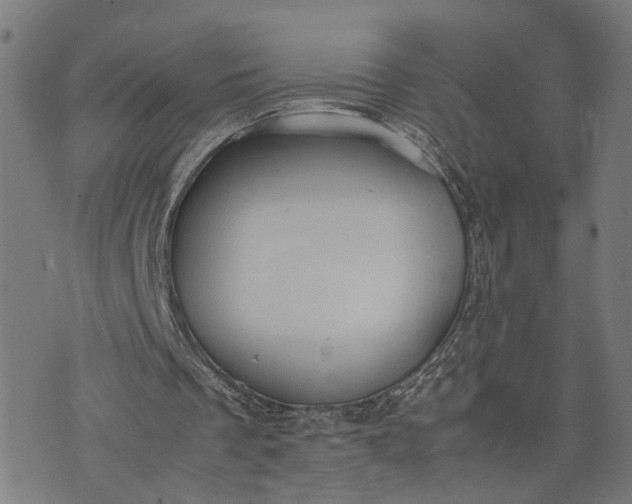 X0000074210289200609081538