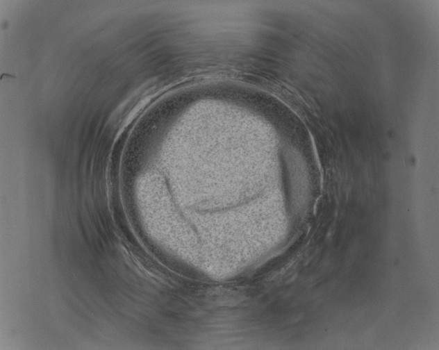 X0000074210290200609081538