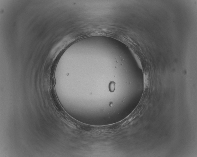 X0000074210291200609081538