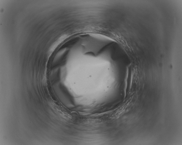 X0000074210292200609081538