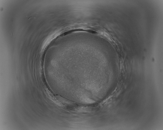 X0000074210293200609081538