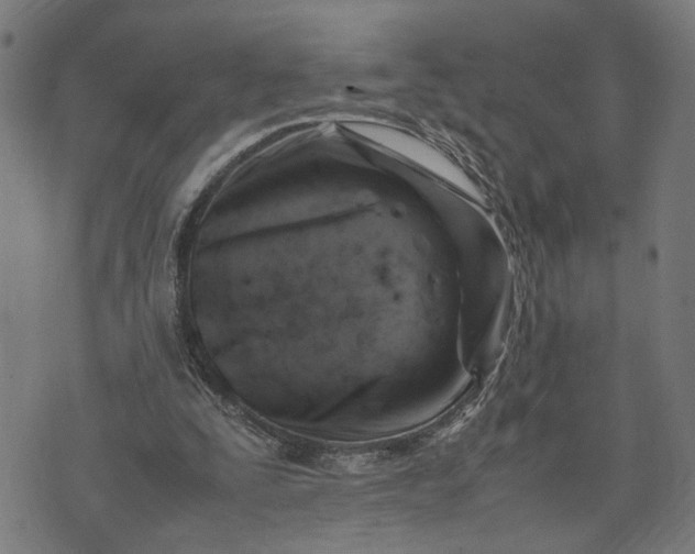 X0000074210295200609081538