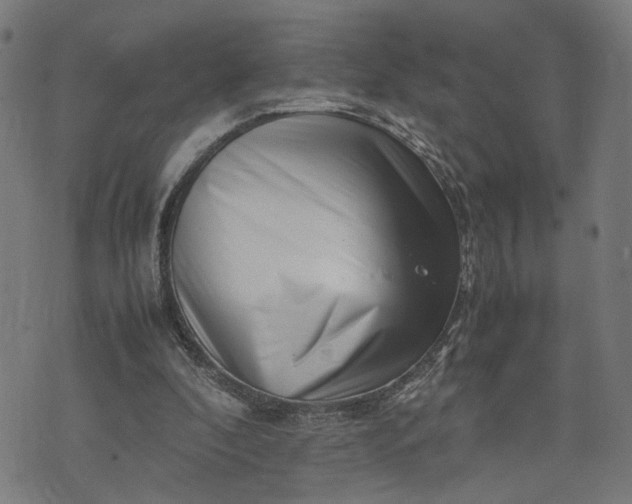 X0000074210296200609081538