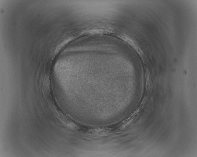 X0000074210297200609081538