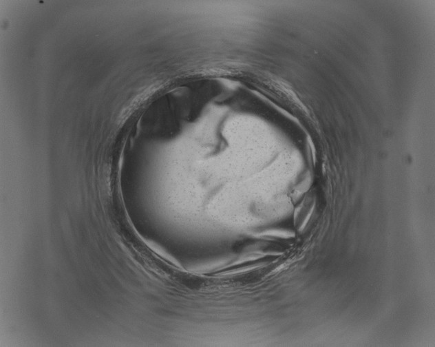 X0000074210299200609081538