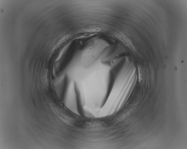 X0000074210300200609081538