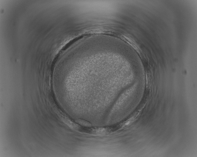 X0000074210301200609081538