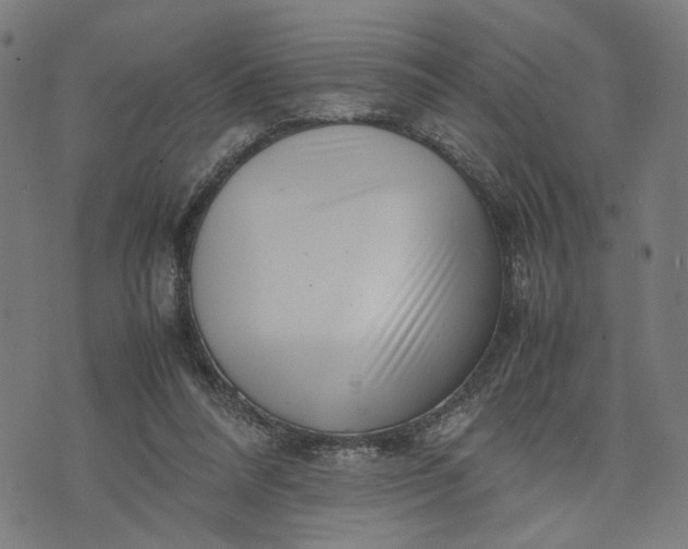 X0000074210304200609081537