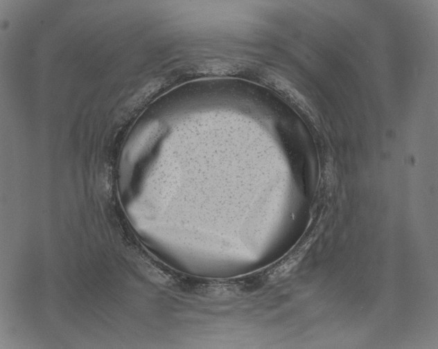 X0000074210305200609081537